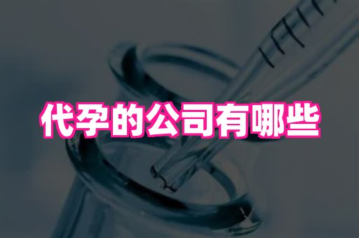 821孕网 3